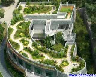 上海：屋顶绿化不得低于建筑占地面积30%