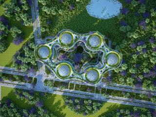 “未来之城”可能是一座垂直的植物塔